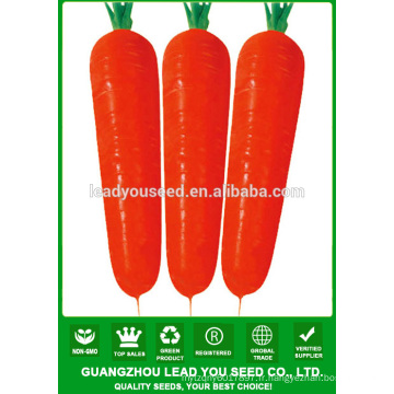NCA012 Waiyan Black carottes graines prix des graines de Chine